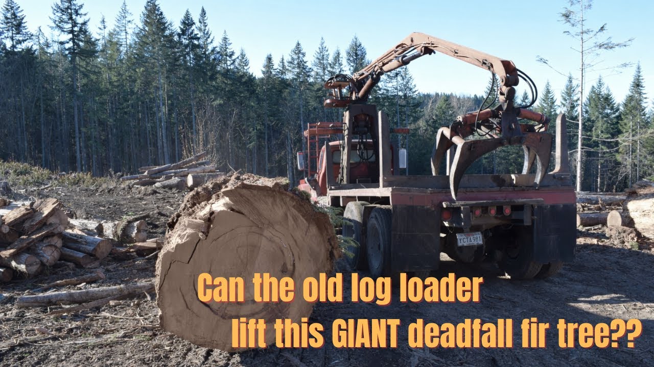 Log Loading January 2026