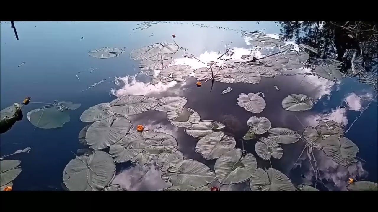 Sumertime 2024