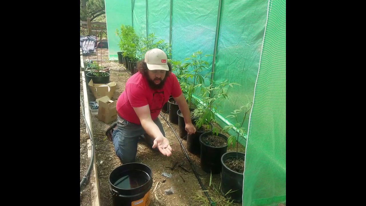 Converting a drip irrigation system to a Blumat system