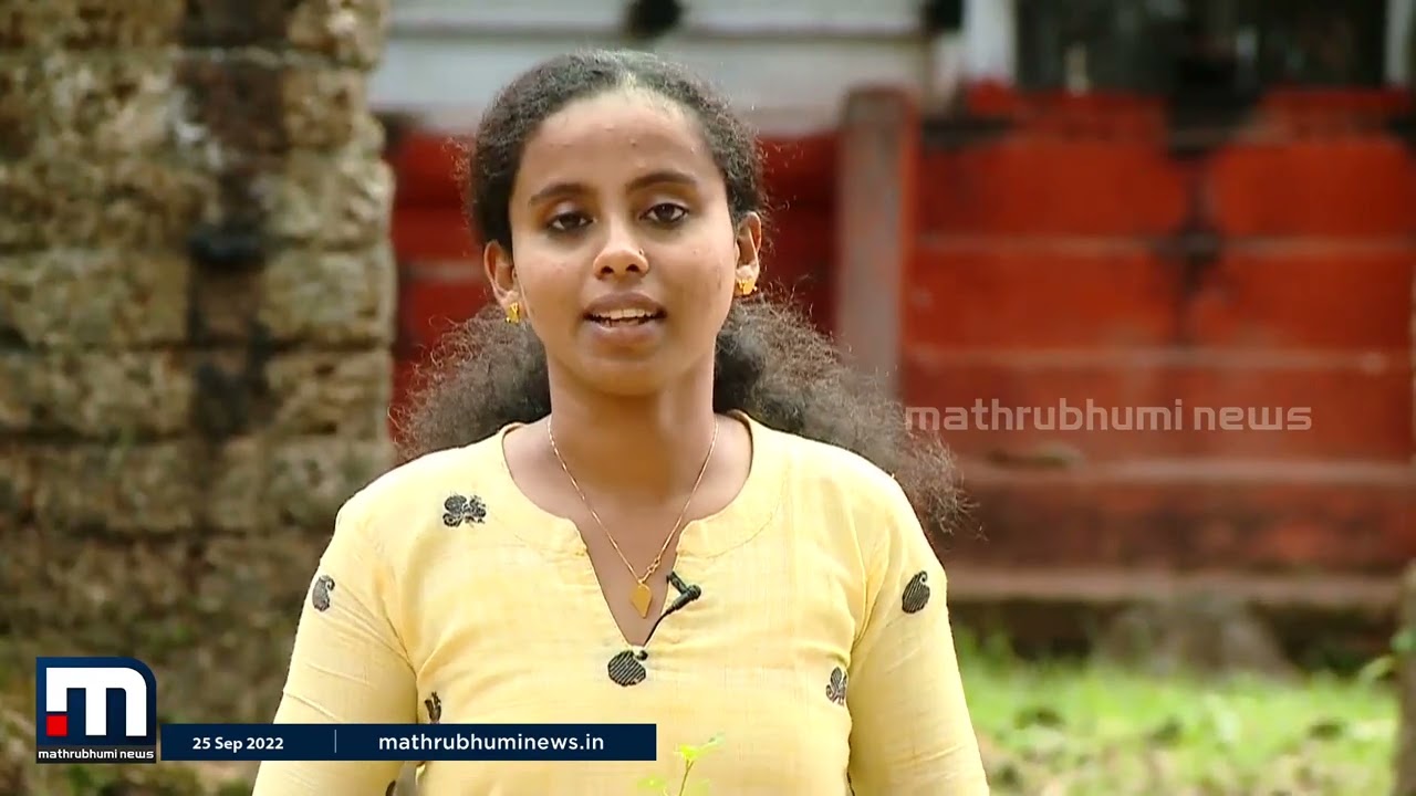 തഴുതാമ അഥവ പുനർനവ; ഇലയും തണ്ടും  വേരുമടക്കം ഔഷധ ഗുണങ്ങളാൽ സമ്പുഷ്ടം | Mathrubhumi News