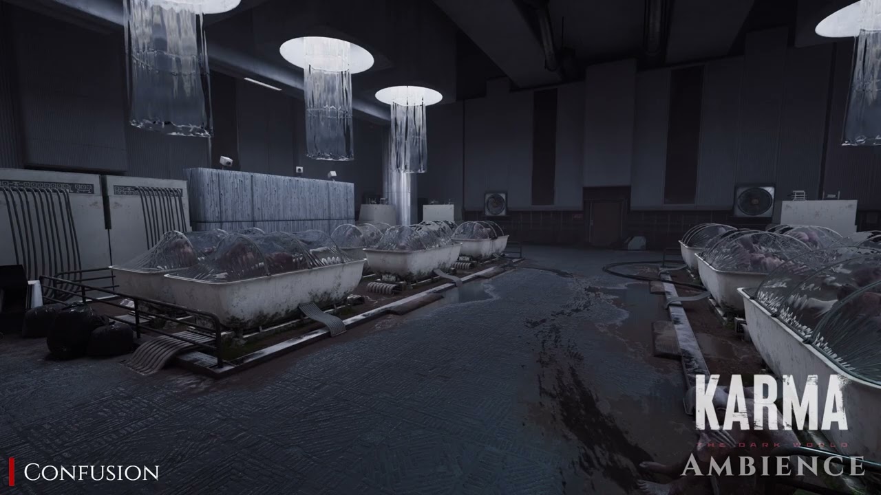 Karma: The Dark World Ambience | Confusion