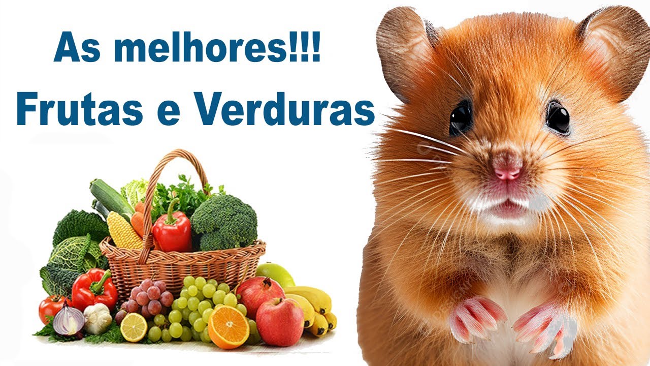 o que hamster pode comer - Lista completa de frutas e verduras que hamsters podem comer!