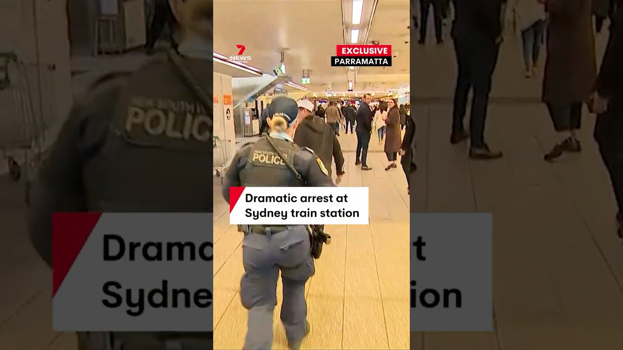 Man holding meat cleaver tackled and arrested at Parramatta Station, Sydney