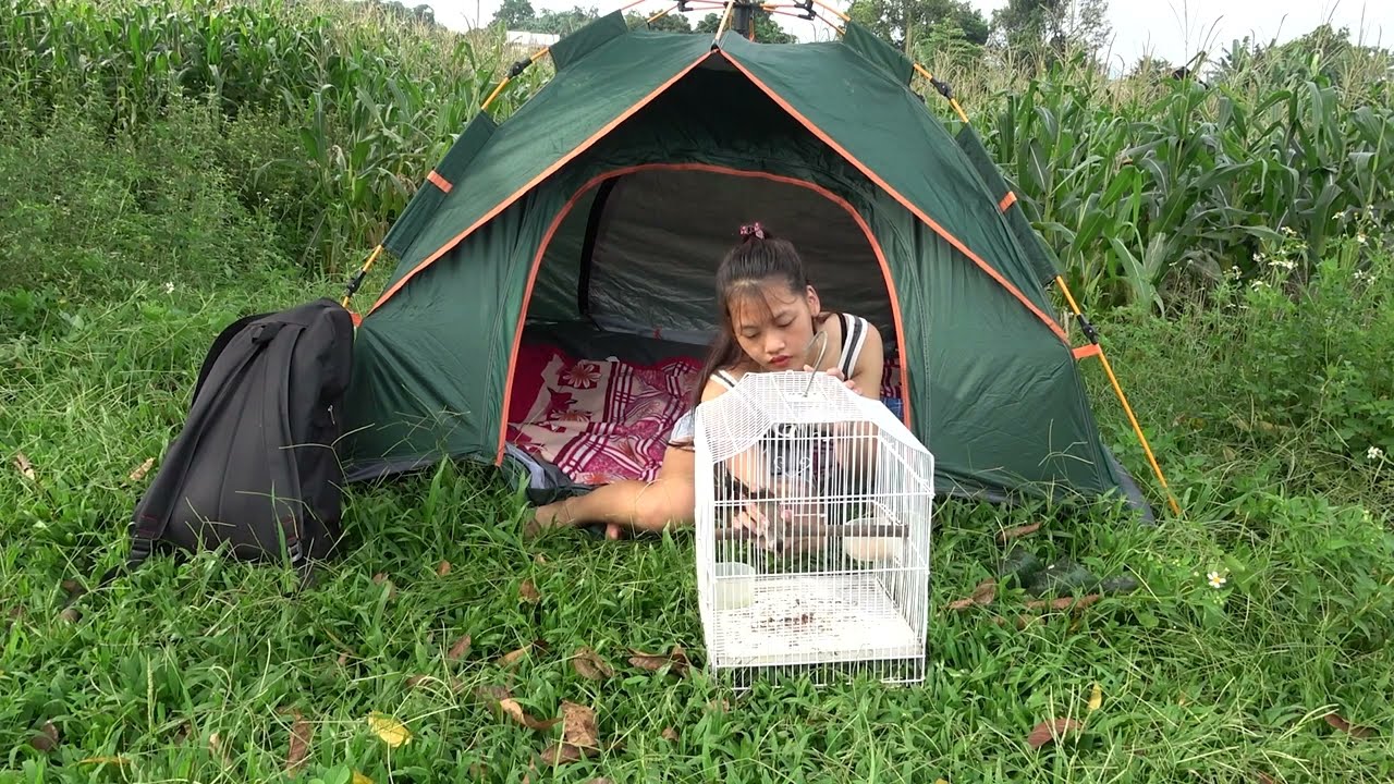 ASMR CAMPING - Girl Solo Overnight Camping and Relaxing in nature - Xuân TV