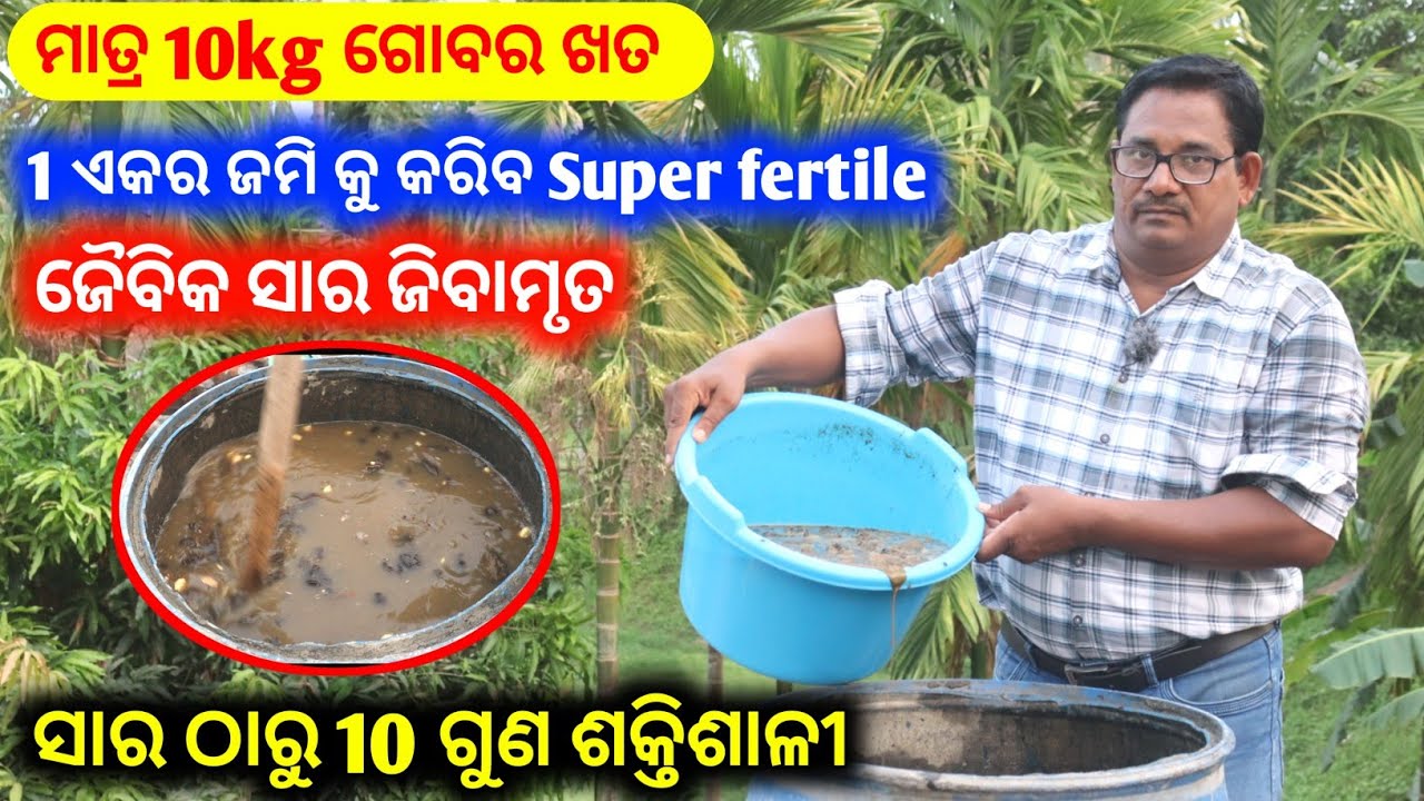 Jivamrut ମାତ୍ର 10kg ଗୋବର ଖତରେ 1ଏକର Super fertile ସାର ଠାରୁ 10ଗୁଣ ଶକ୍ତିଶାଳୀ