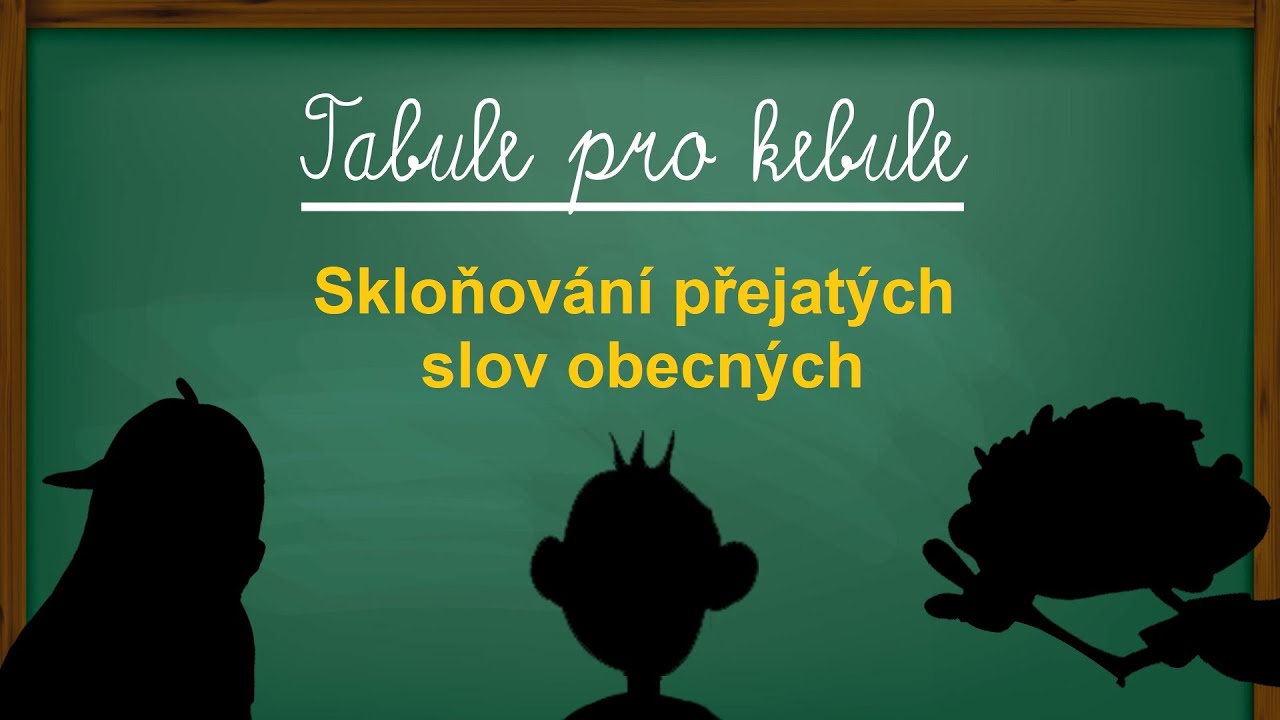 Skloňování přejatých slov obecných