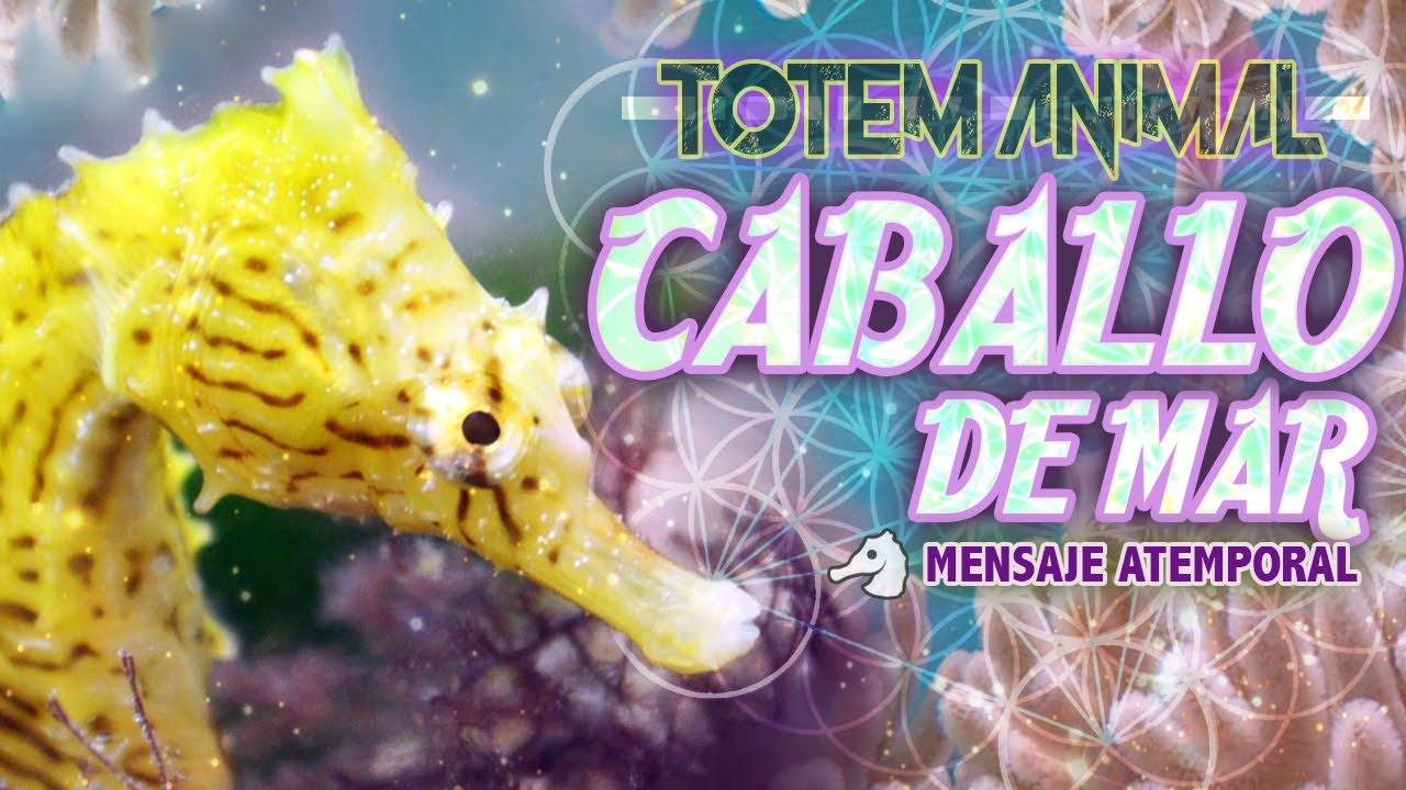 ⚫Totem Espiritu Animal de Poder | ⭐Caballo de Mar - Paciencia | Que Significa & Mensaje | Soullky