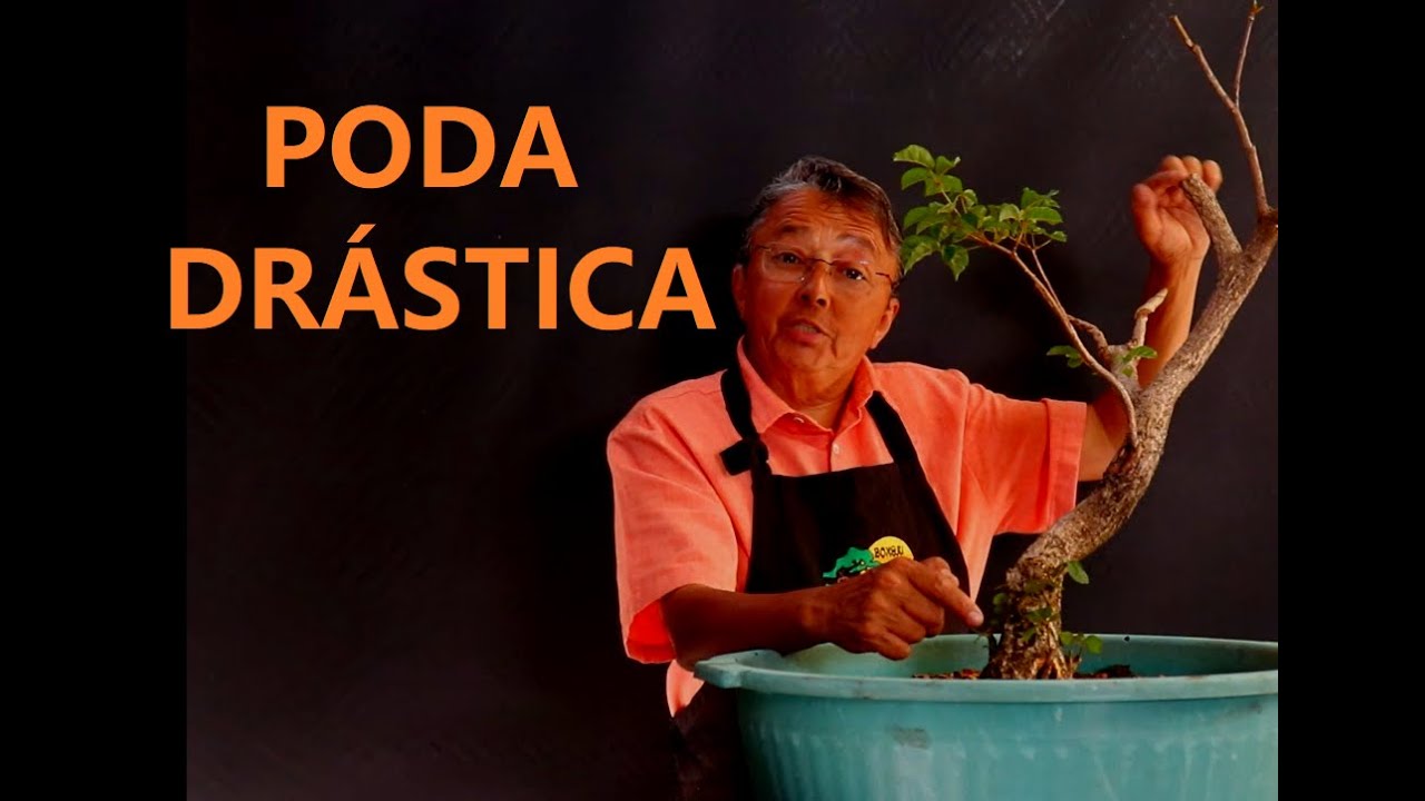 PODA DRÁSTICA