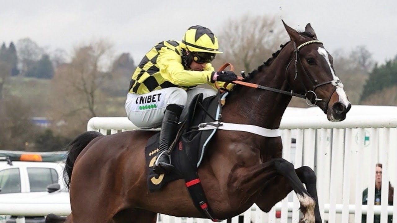 Triumph Hurdle fancy Feel Gut looks good on British debut | Racing TV