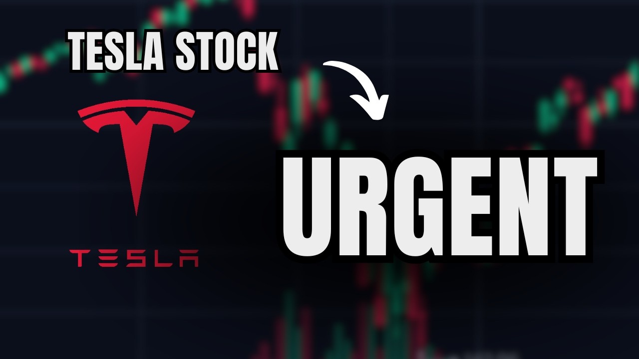 Завтра акции Tesla резко вырастут в цене.