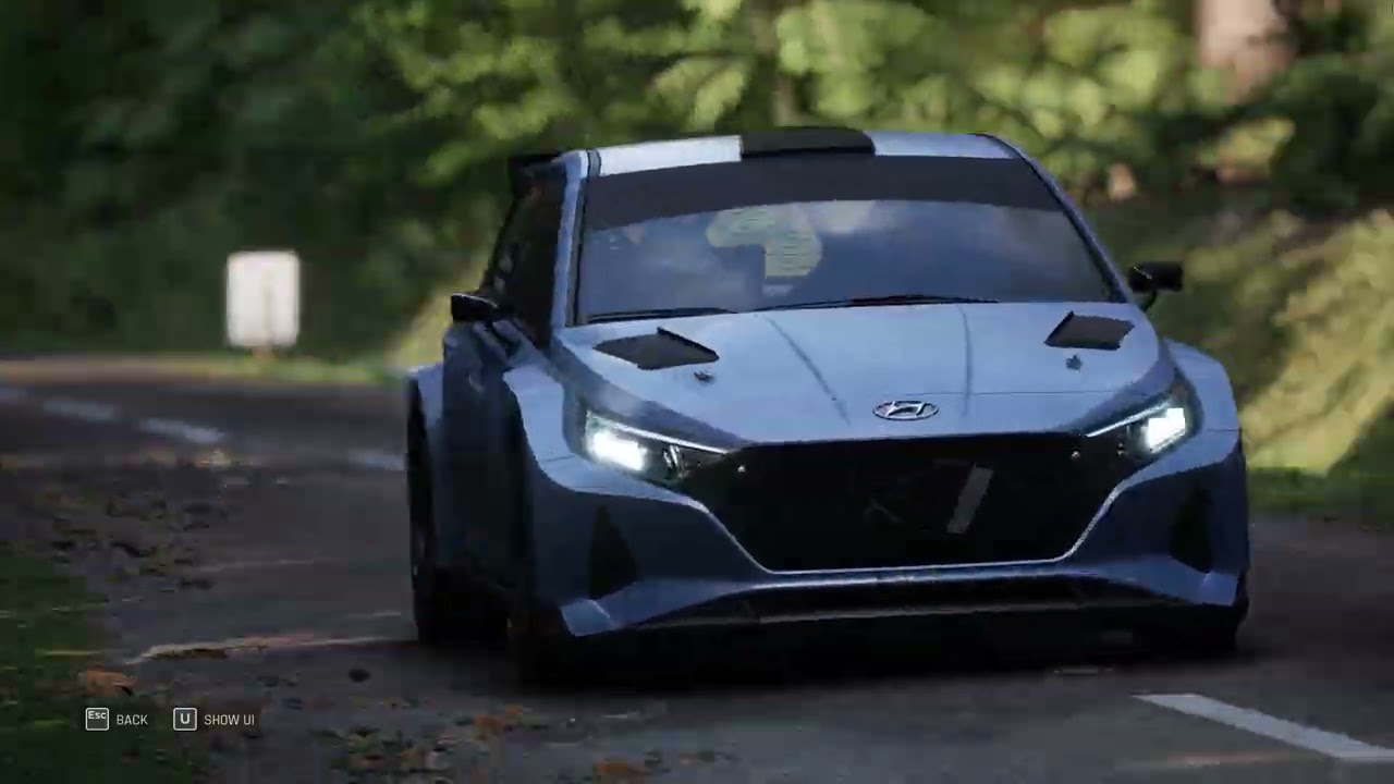 Assetto Corsa Rally - First run ... getting know the trees and bushes