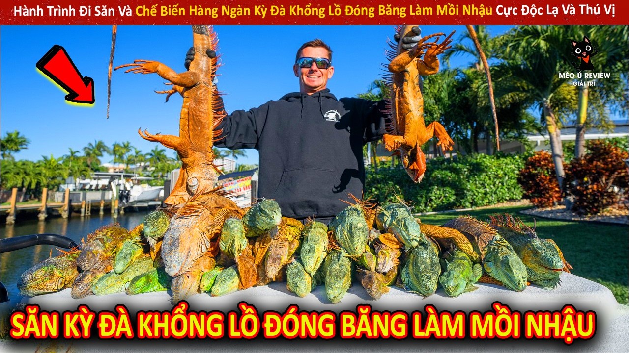 Hành Trình Đi Săn Và Chế Biến Hàng Ngàn Kỳ Đà Khổng Lồ Đóng Băng Làm Mồi Nhậu Cực Độc Lạ Và Thú Vị