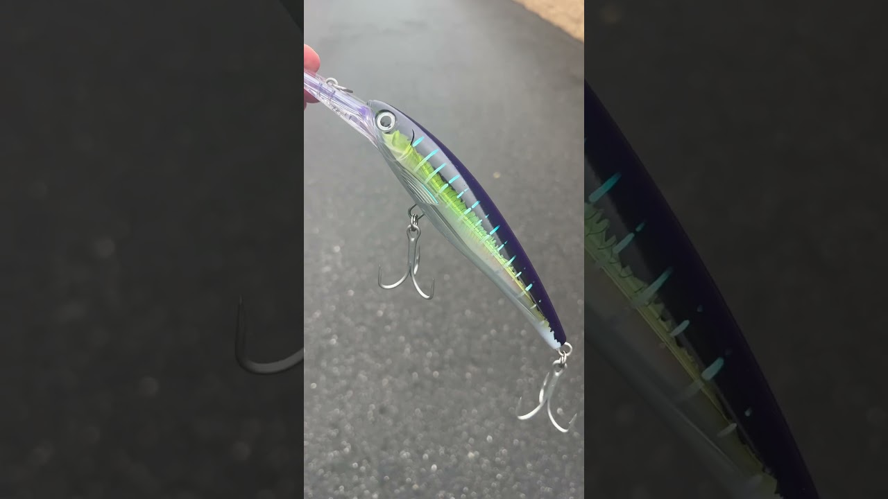 Вы ловите рыбу на приманки Rapala? #jandhtackle #fishing #fishinglures #trolling