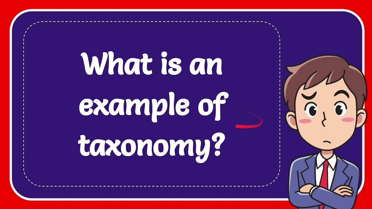 What is an example of taxonomy?