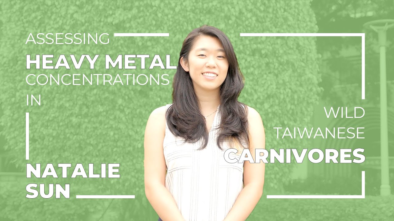 Natalie Sun: Assessing Heavy Metal Concentrations in Wild Taiwanese Carnivores