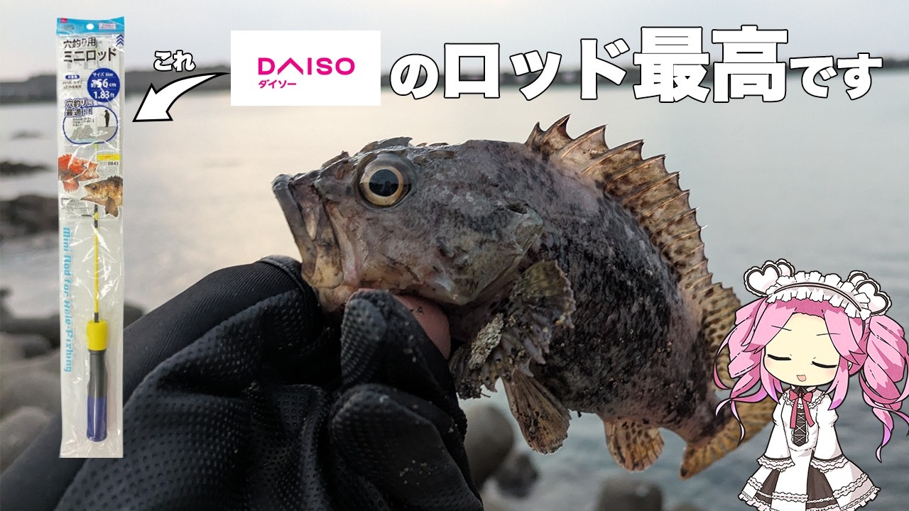 社畜DAISOの釣竿でメバルを釣り上げる