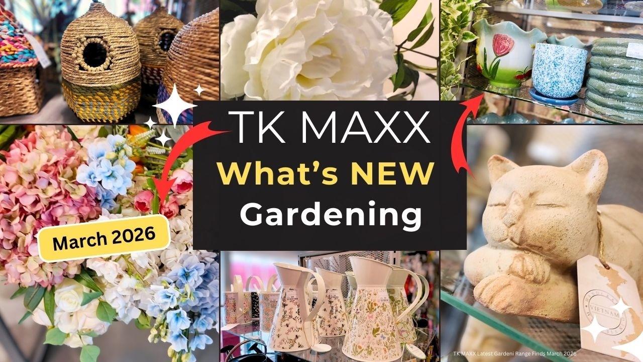 Новая коллекция товаров для сада от TK Maxx 🌿 | Дизайнерское садовое оборудование по выгодным цен...