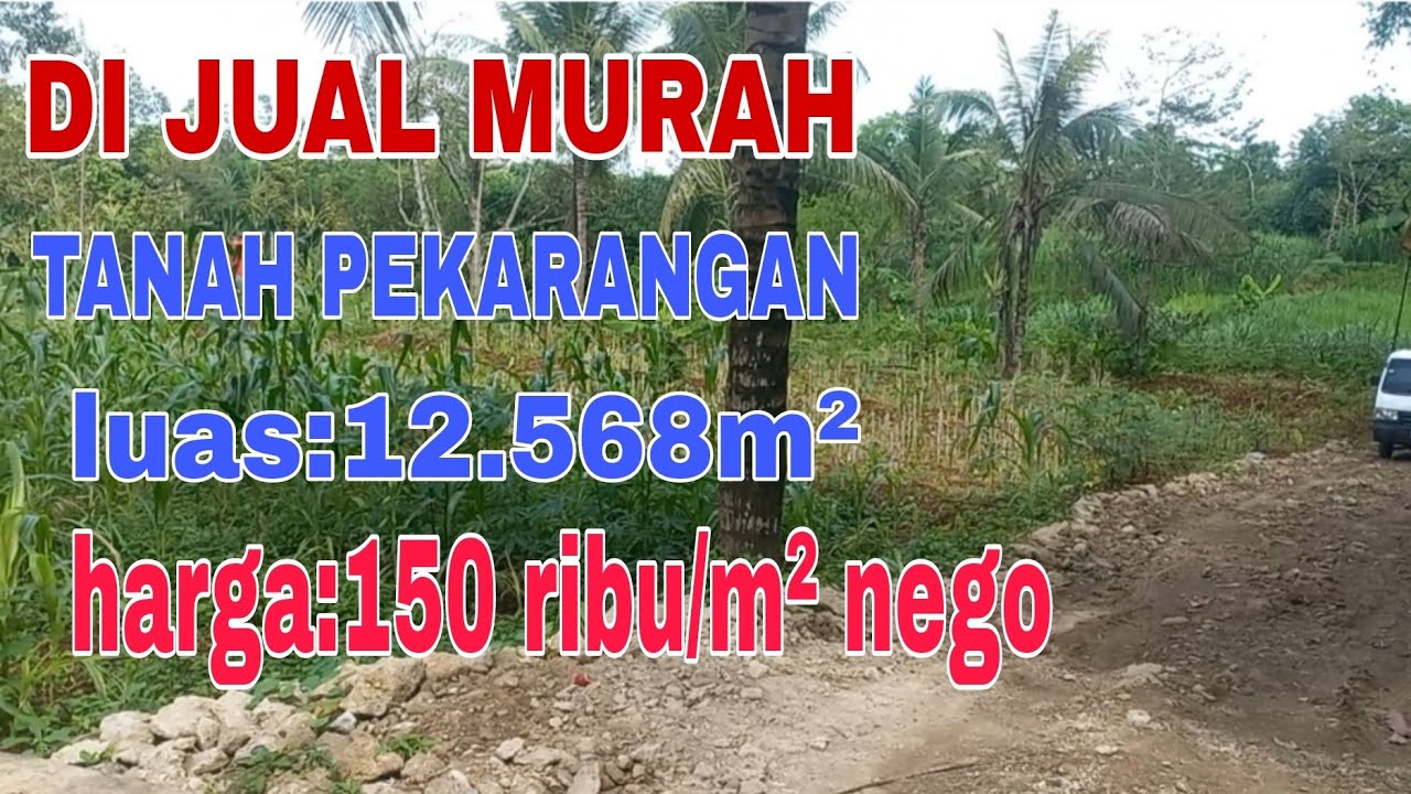 DI JUAL CEPAT TANAH PEKARANGAN LUAS: 12 568 M² SHM, HARGA: 150 RIBU/M² @cahngaritproperty #kebun