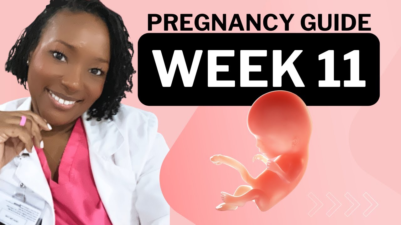 11 Weeks Pregnant: What To Expect