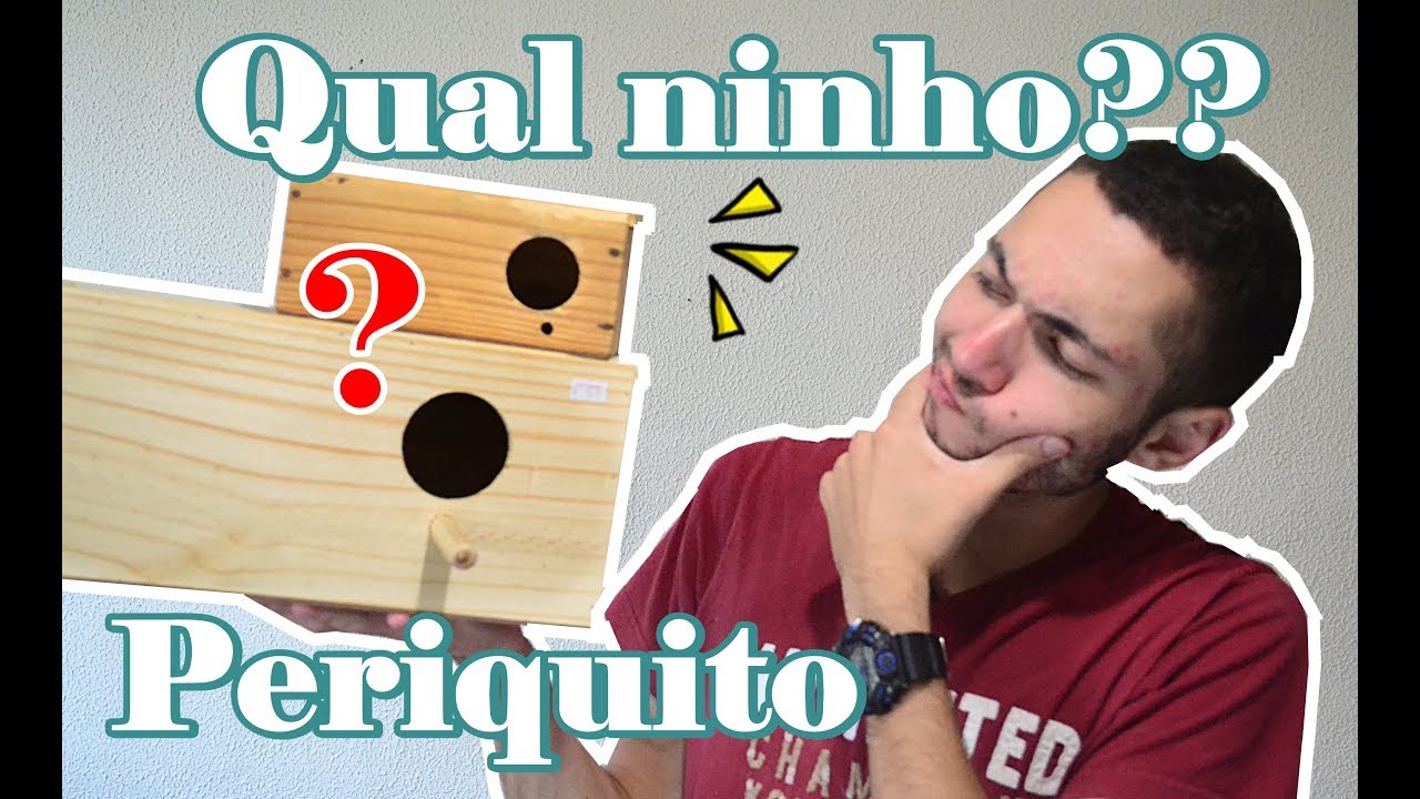 COMO REPRODUZIR PERIQUITO AUSTRALIANO | NINHO para reprodução do casal