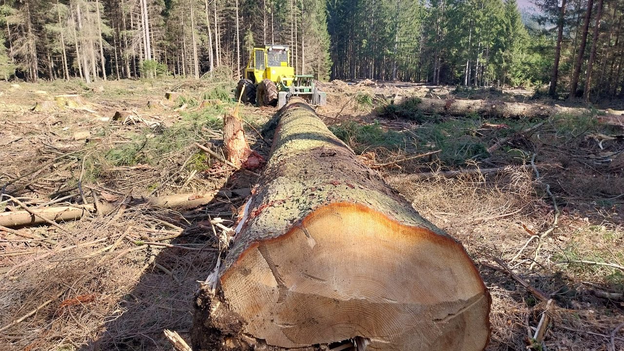 Ťažká práca v lese Lkt81 Orvex Working in forest
