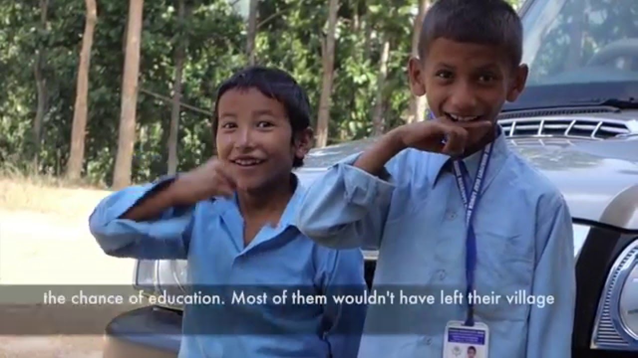 The Bee in Nepal: Episode 2