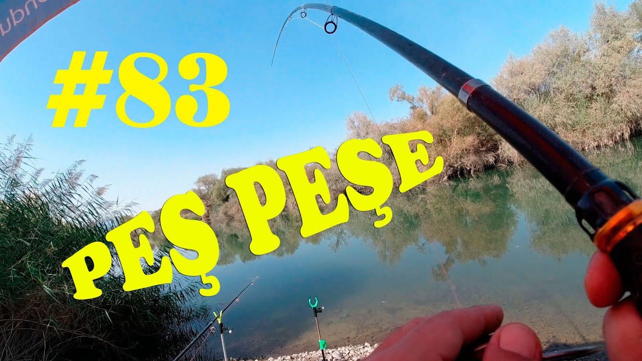 Peş Peşe BALIK AVI.SAZAN AVI.Dip Oltası ile.Mısırla.Catch Fish.Carp Fishing.with hook.river.rod #83