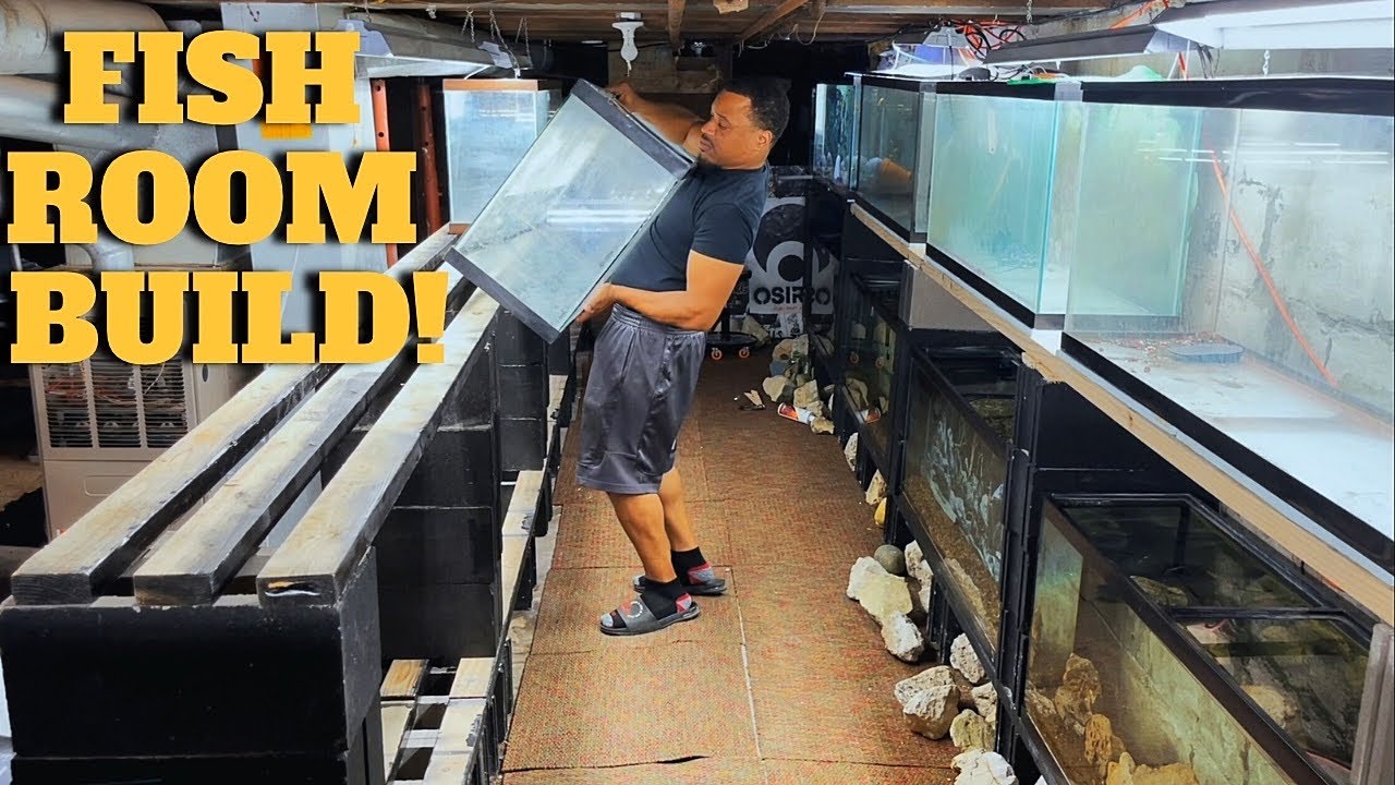 I'M BUILDING A NEW FISH ROOM! Ep 1