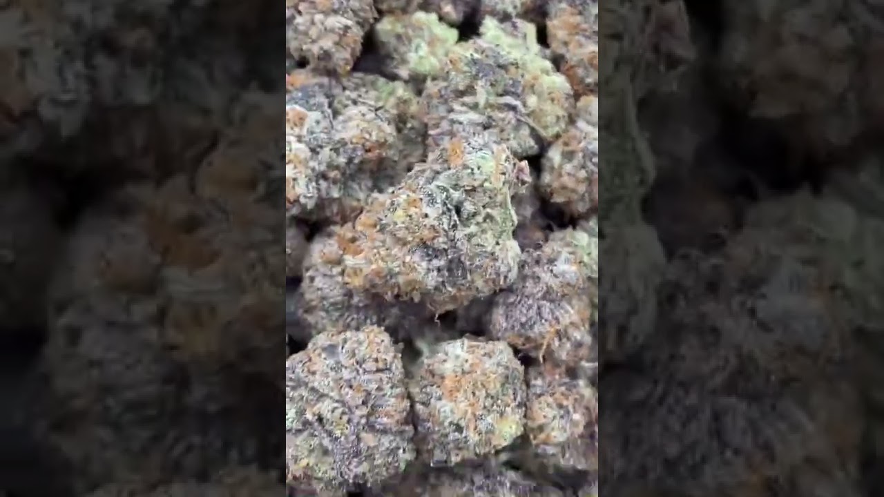 DOGGY STYLE STRAIN BY PAPERBOY 510 #420 #cannabis #doggystylestrain #doggystyle #paperboy510 #2022