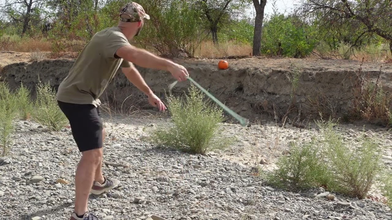 Pumpkin Challenge 2024