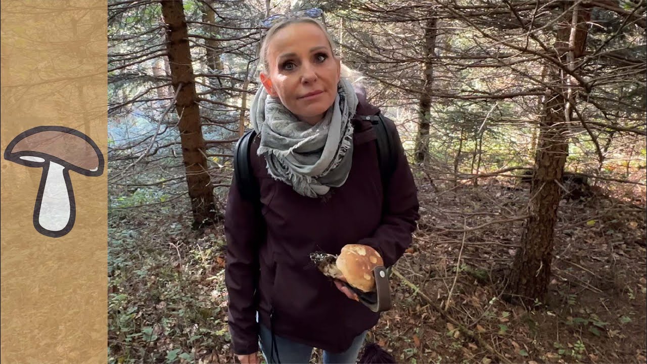 🍄PilzGlück 12. Oktober 2024