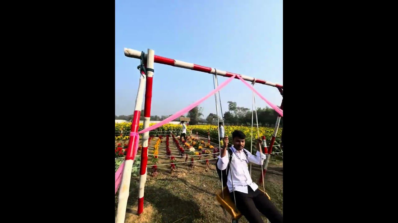 গতকাল আমরা চলে গিয়েছিলাম | বর্তমানে ভাইরাল সূর্যমুখী ফুলের বাগানে | কোথায়?