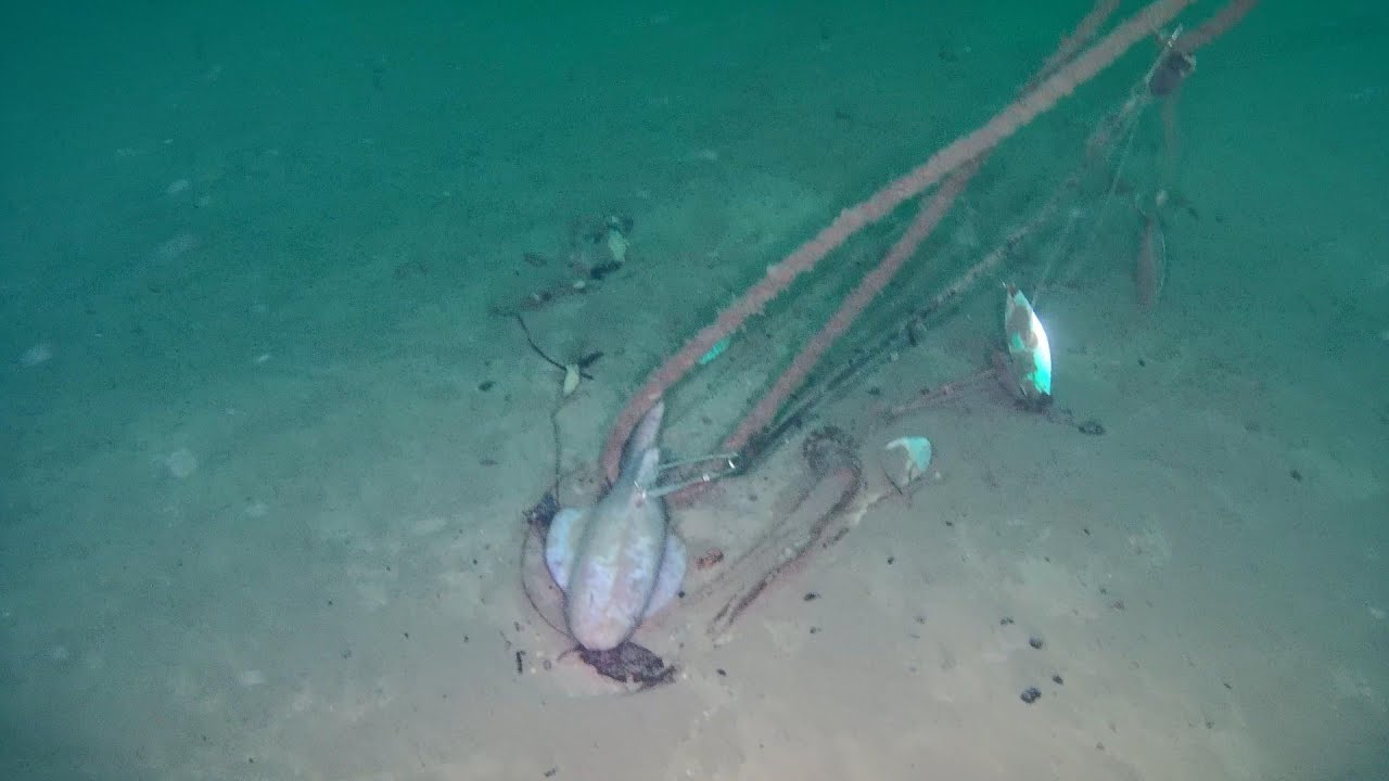 Finding and retrieving downrigger stuff from the depth. (ROV)