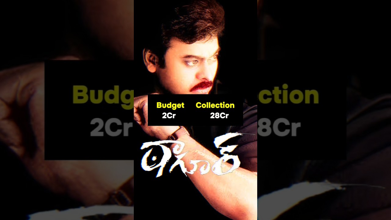 Director V. V. Vinayak all movies budget & collection