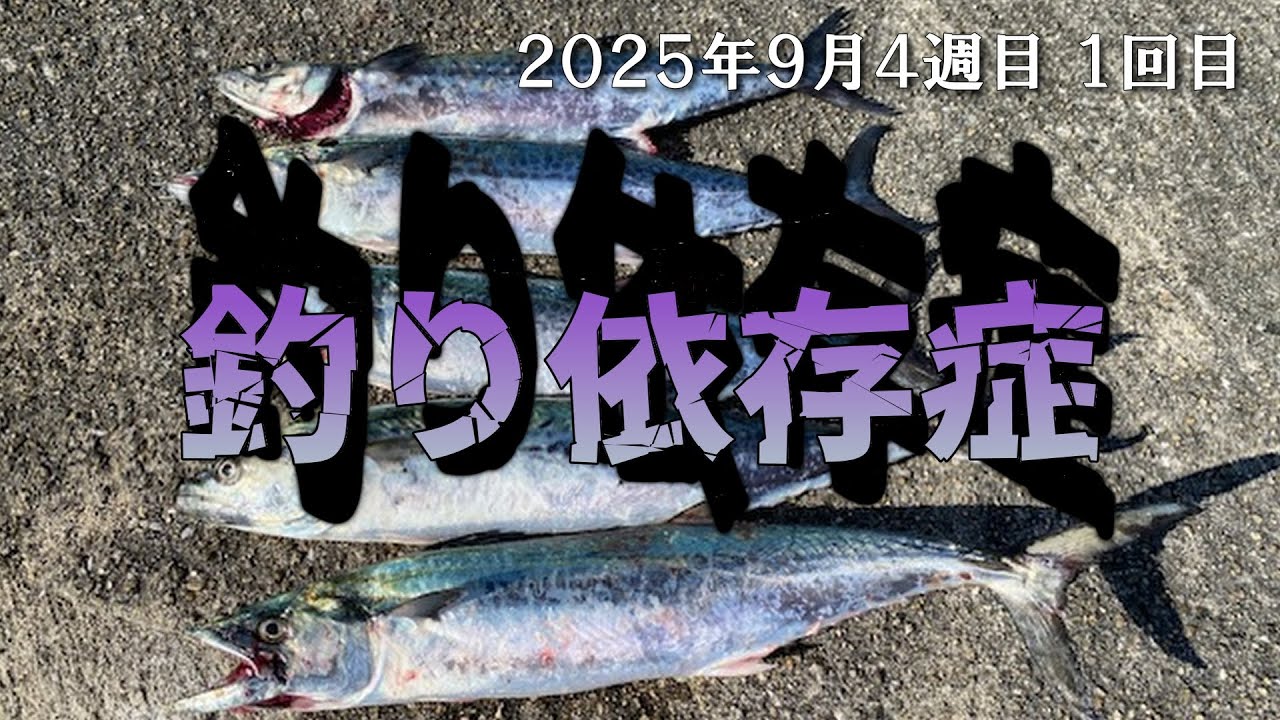 【ライトショアジギング】　サゴシ釣り　夢でフッキングして飛び起きた事ありますか？　私はあります。
