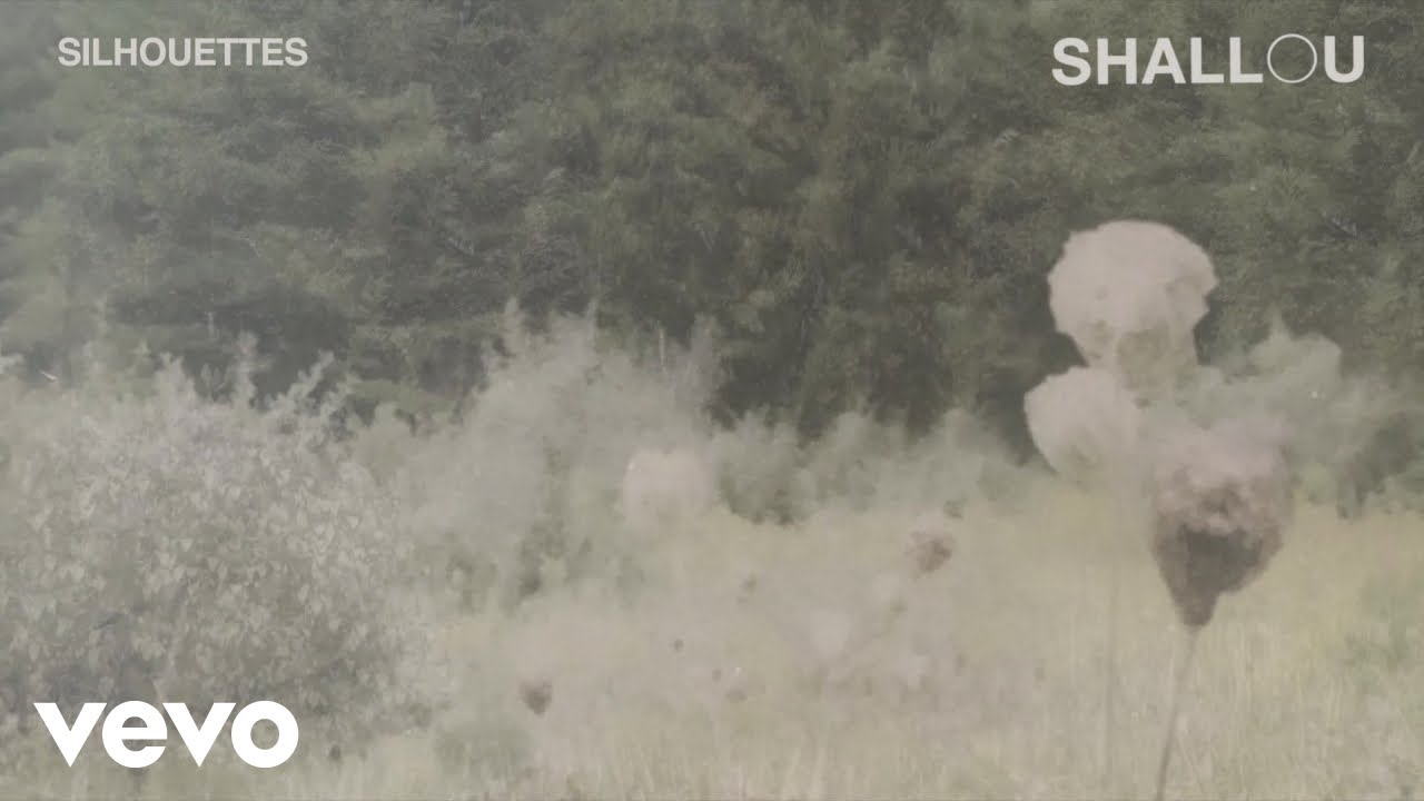 Shallou - Silhouettes (Audio) ft. Vancouver Sleep Clinic