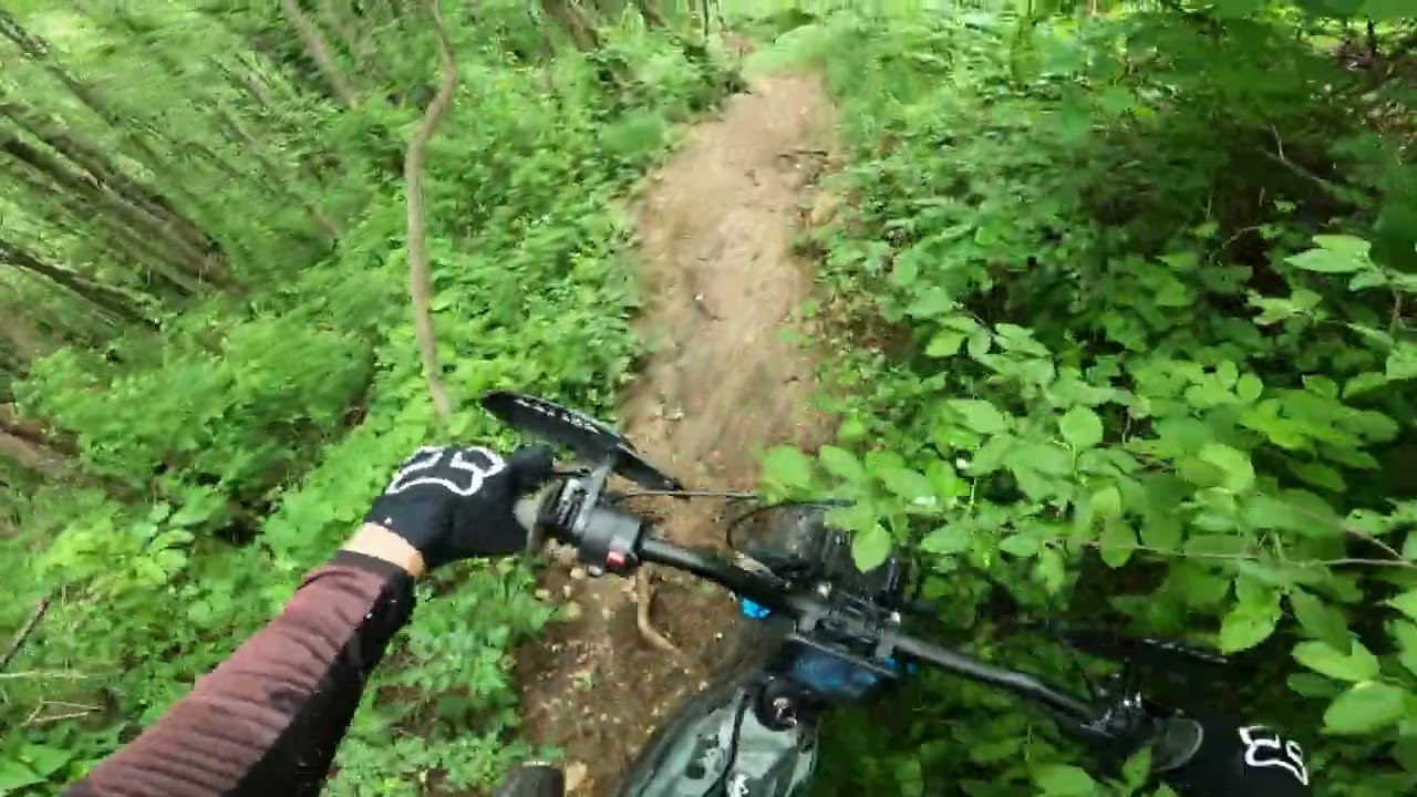 TALARIA STING | RAW POV