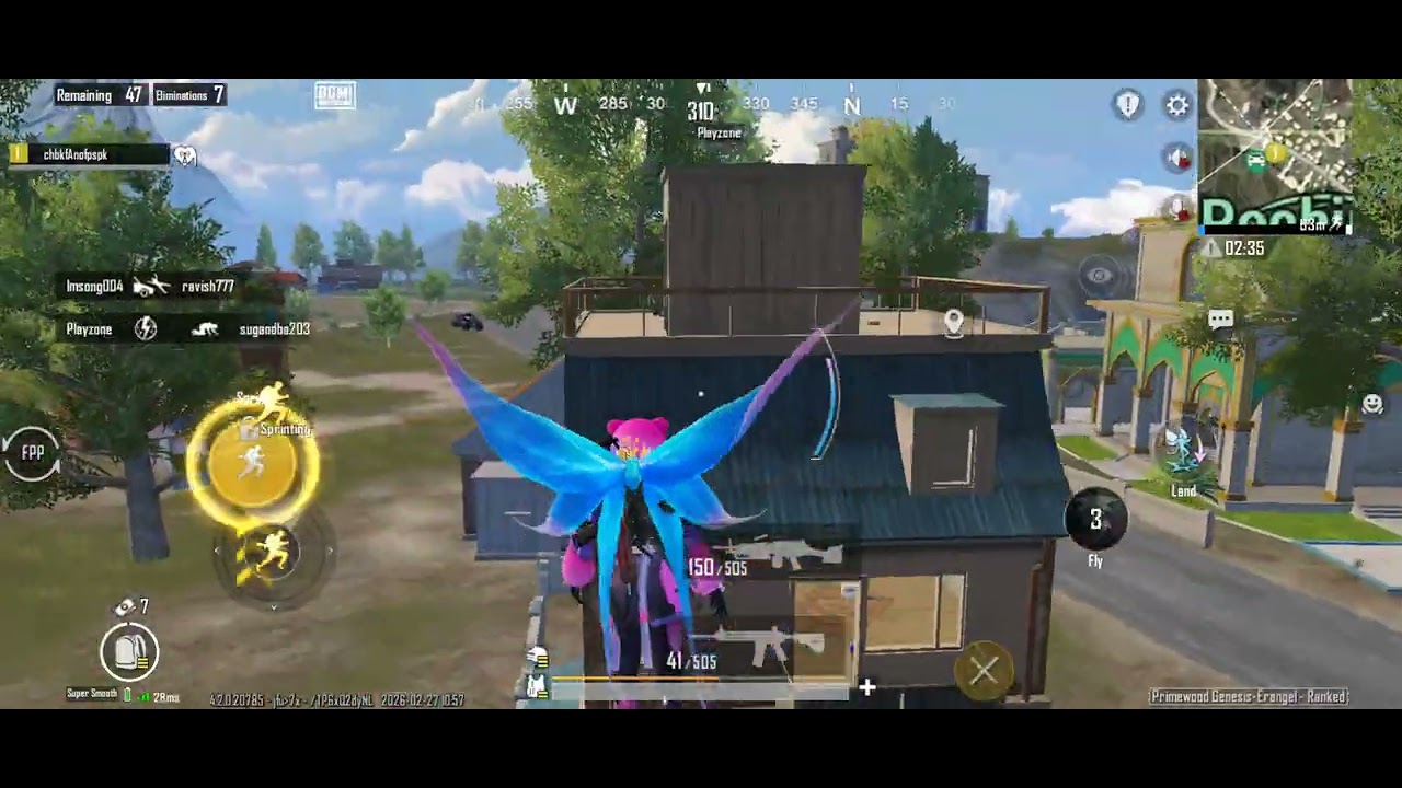 Solo vs squad 