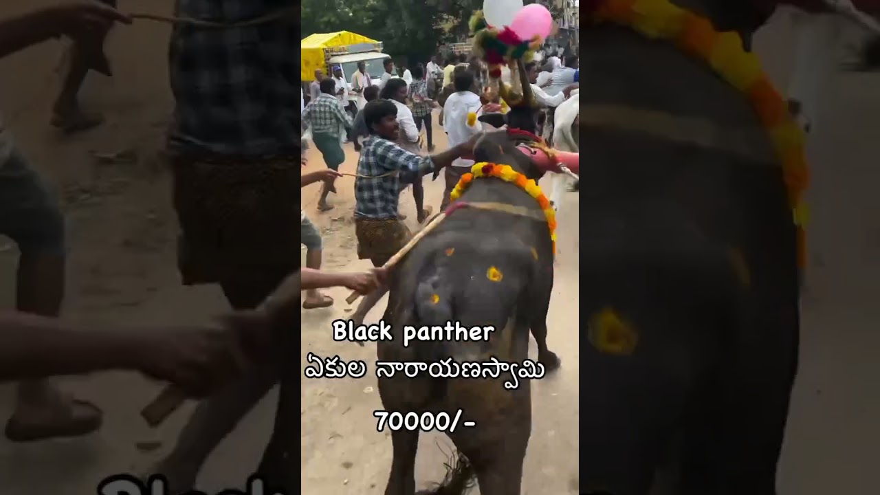 #atmakur #Atkmakurmoharam#Anantpur #atmakur