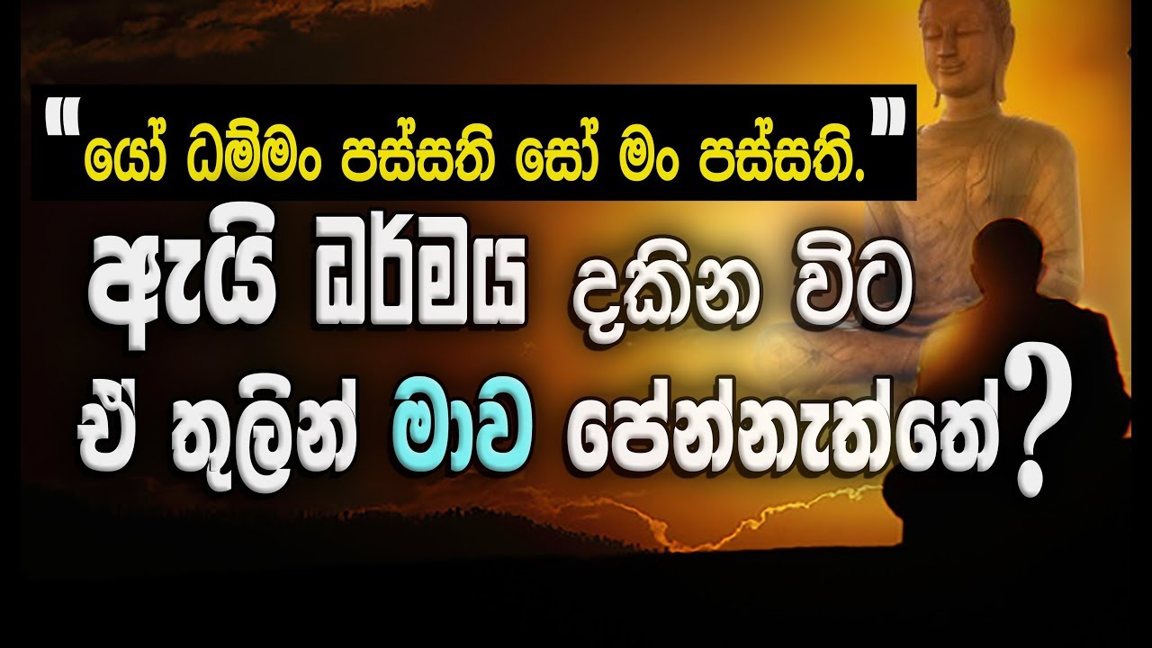 ධර්මයයි ඔබයි අතර පවතින ආර්ය අෂ්ඨාංගික මාර්ගය/ ''යෝ ධම්මං පස්සති සෝ මං පස්සති''_Niwan Dakimu