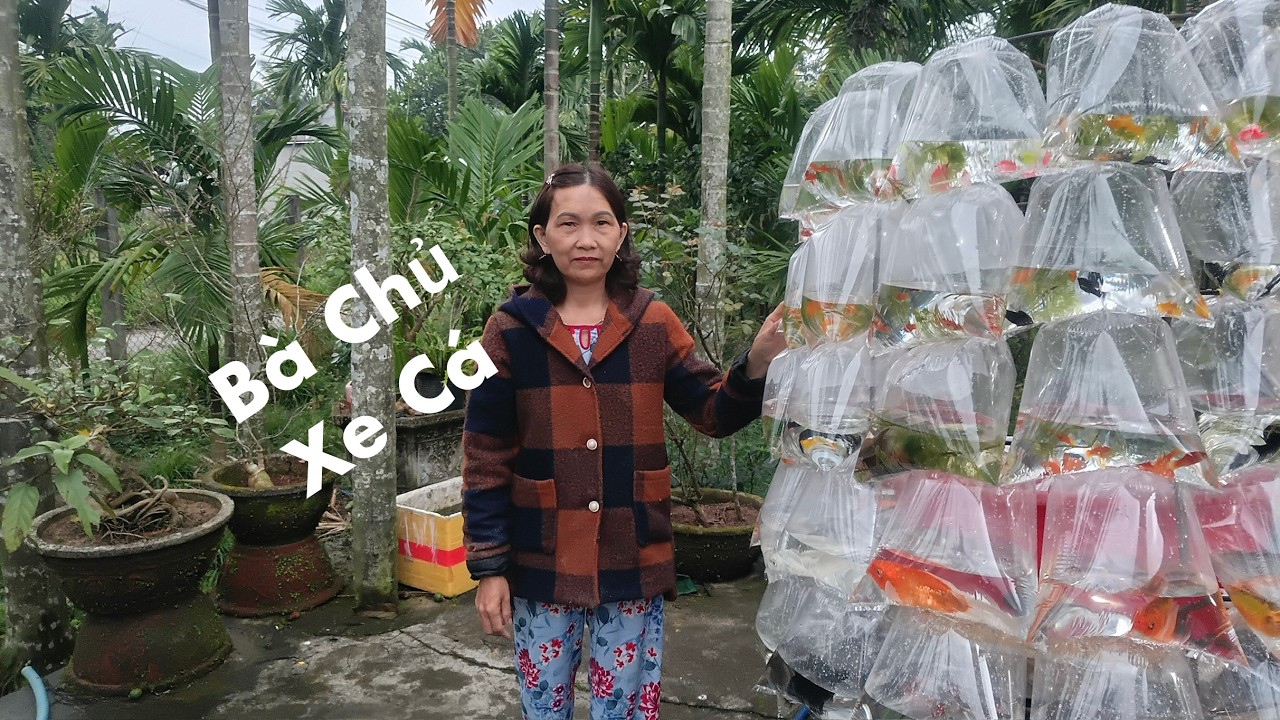 Bà Chủ Xe Cá