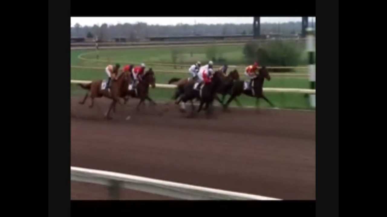 Ruffian and Secretariat-New Divide