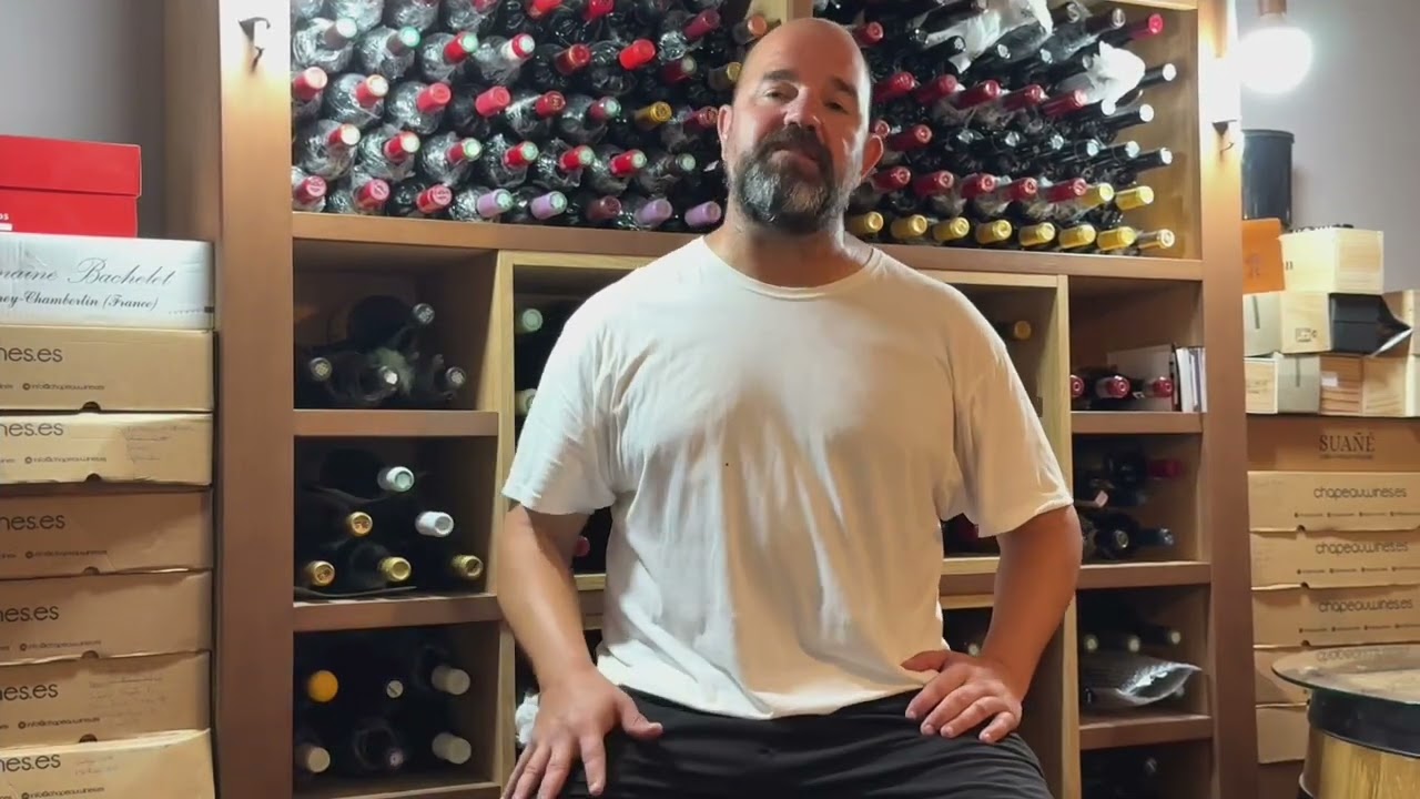 Los 10 mejores vinos tintos Españoles por debajo de los 100 euros. 
