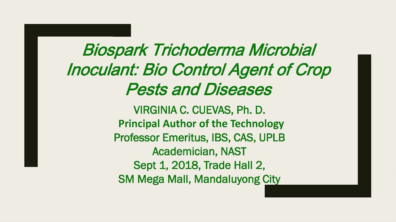 Biospark Trichoderma Microbial Inoculant Bio Control Agent of Corp Pests and Diseases