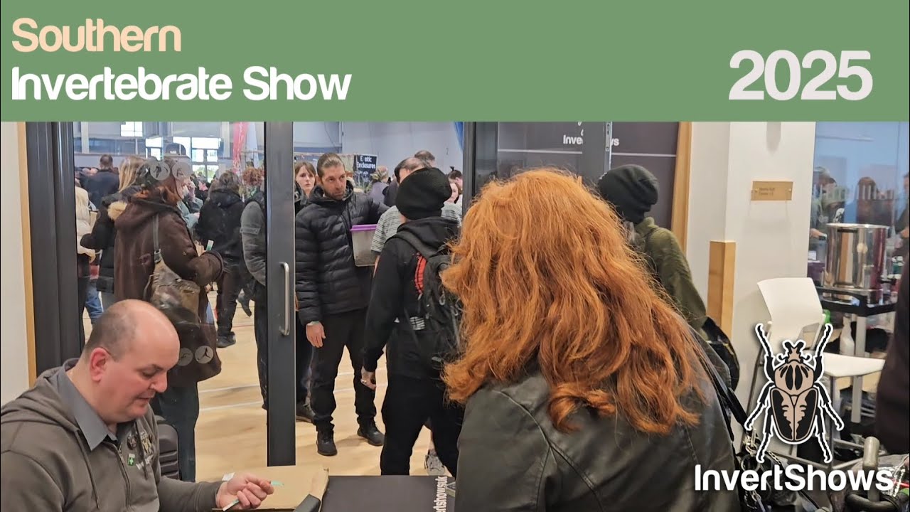 Southern Invertebrate Show 