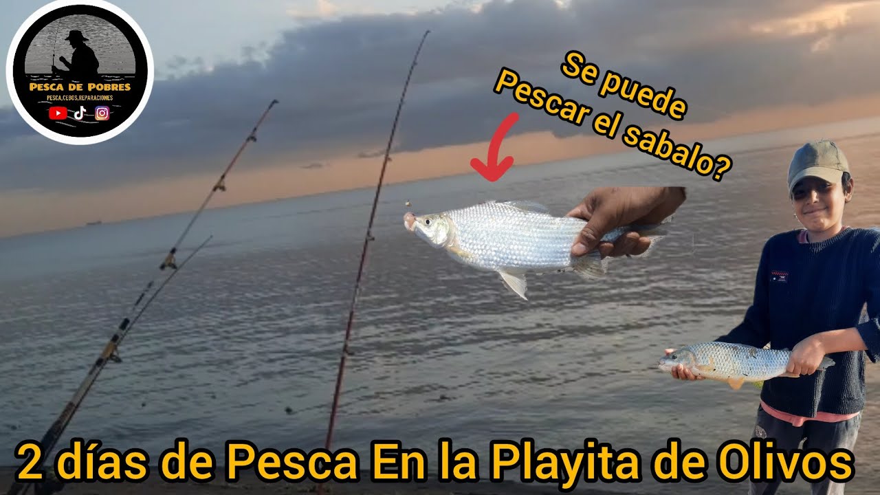 2 Días de Pesca en la Playita de Olivos. El Sabalo también pica? #pesca #fishing #Sabalo #curimba 