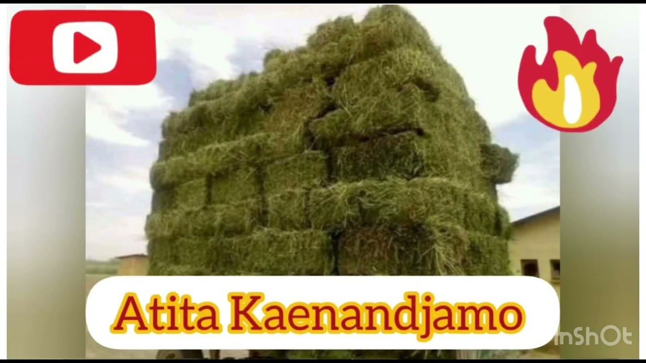 Atita kaenandjamo