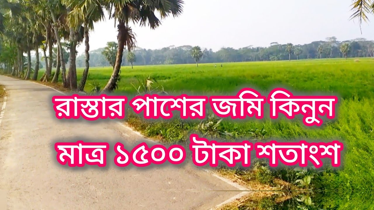 মাত্র ১৫০০ টাকায় রাস্তার পাশে সুন্দর জমি কিনুন! এই ধামাকা অফারে জমি মিস কইরেন না!