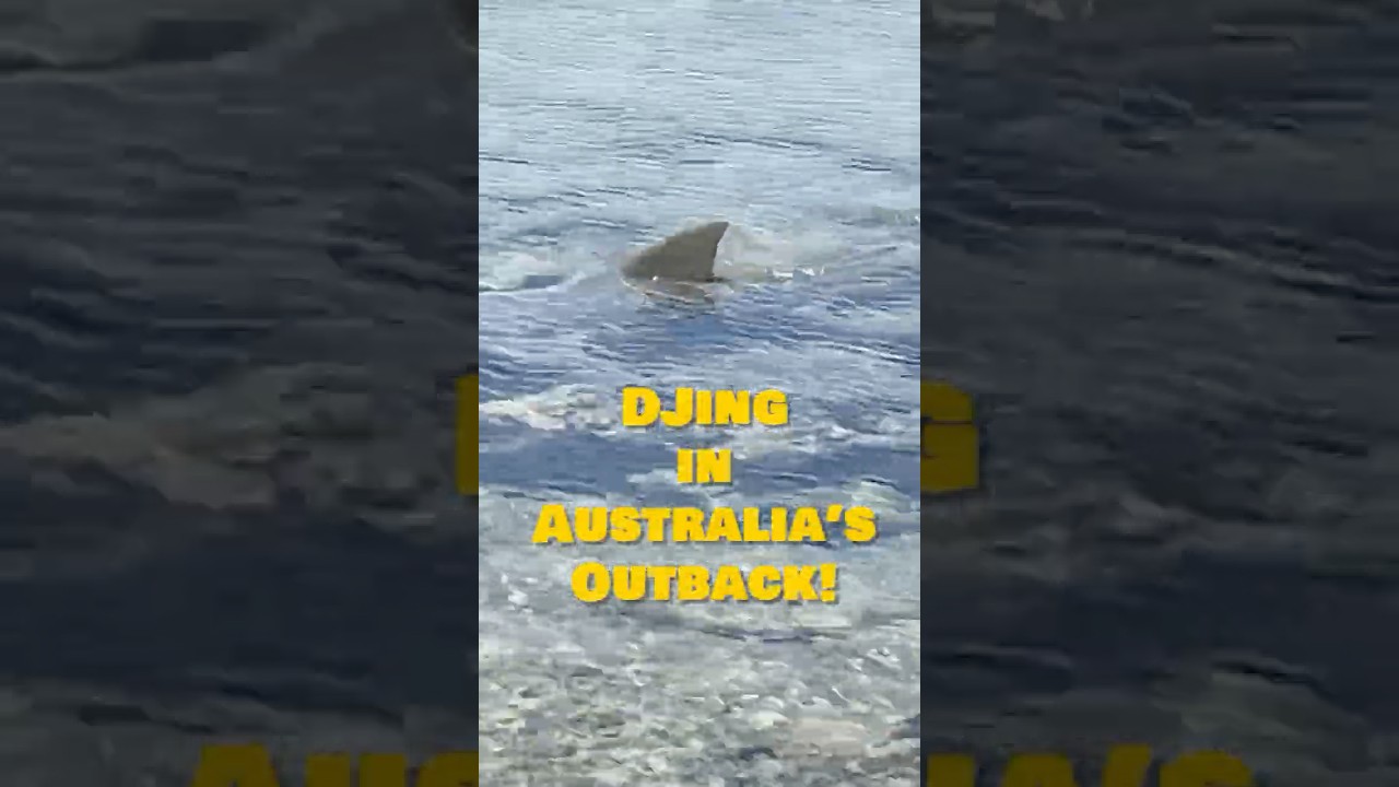 DJing in Australia leads to shark sightings and skydives! 