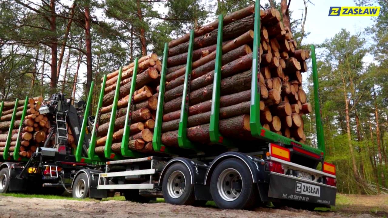 Scania zestaw do transportu drewna podczas pracy w lesie